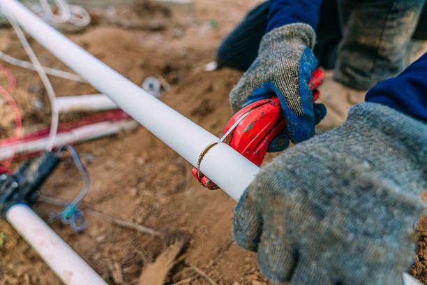 Best Local Plumber Services  in Odessa, FL